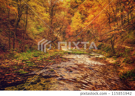 Vintgar gorge, Slovenia 115851942