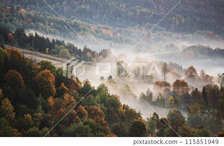 Autumn mountain landscape 115851949