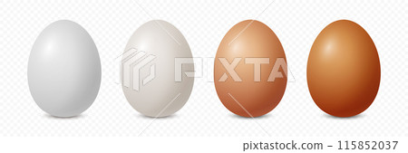 Vector 3d Realistic White and Brown Chicken Egg Icon Set Closeup Isolated. Chicken Eggs. Vector Different Color Whole Eggs. Front View Vector 3d Realistic White and Brown Chicken Egg Icon Set Closeup Isolated. Chicken Eggs. Vector Different Color Whole Eggs. Front View 115852037
