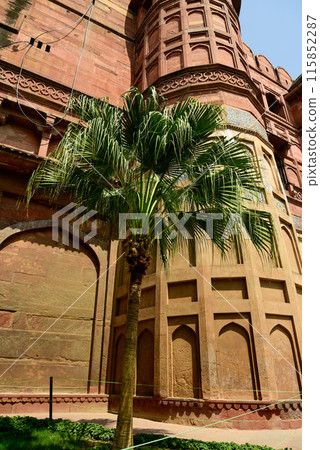 印度阿格拉堡美景 115852287