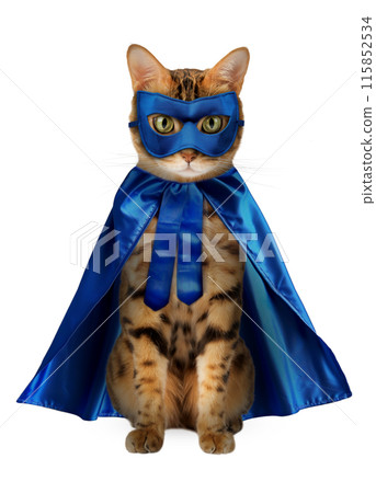 A charming red cat in a blue superhero costume sits on a transparent background. A charming red cat in a blue superhero costume sits on a transparent background. 115852534