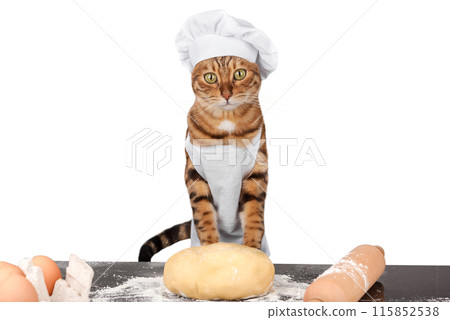 Baker cat in an apron and hat with dough on a transparent background. 115852538
