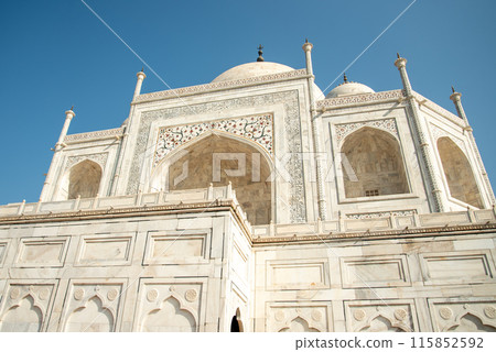 一輩子至少要去一次的泰姬陵美景 115852592