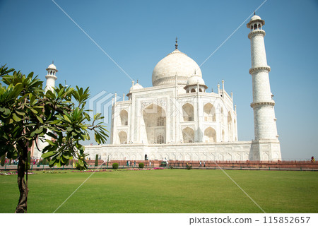 The beautiful scenery of the Taj Mahal, a place you should visit at least once in your life. 115852657