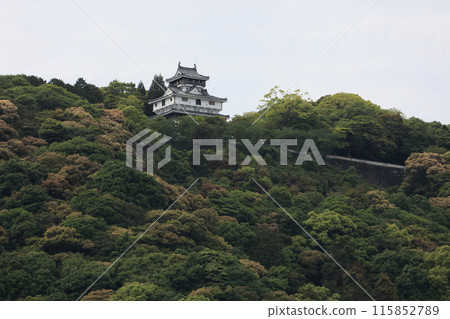 Iwakuni Castle tower seen from the Nishiki River 115852789