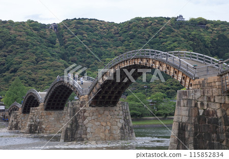 Kintai Bridge and Iwakuni Castle 115852834