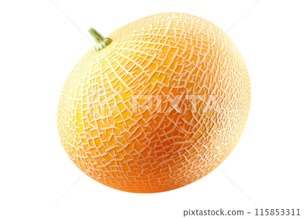A ripe and juicy cantaloupe melon isolated on a white transparent background, highlighting its textured skin. 115853311