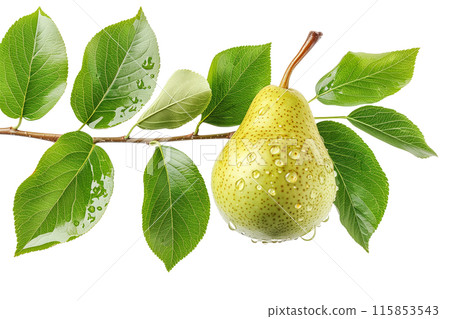 Fresh juicy pear with water droplets and leaf isolated on a white background, highlighting its natural beauty and freshness 115853543