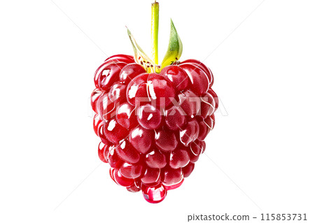 Closeup of fresh ripe raspberry with green leaves, vibrant color and juicy textures, perfect for culinary creations. 115853731