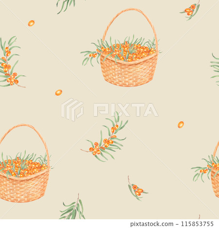 Sea buckthorn branch with orange berries. Pattern with orange sea buckthorn. Hand drawn watercolor illustration isolated on white background. Basket 115853755