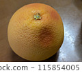 grapefruit  115854005