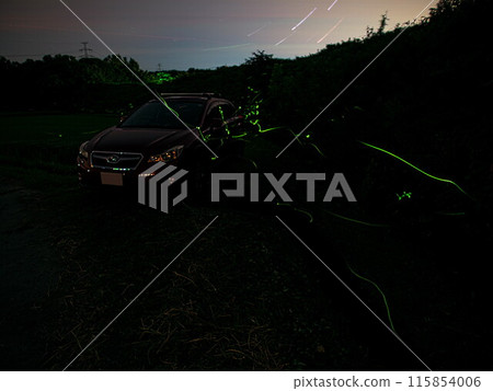 Isshikicho, Tsu City, Mie Prefecture: A car surrounded by fireflies Isshikicho, Tsu City, Mie Prefecture: A car surrounded by fireflies 115854006