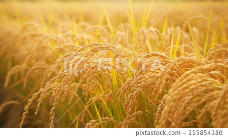 Ready rice field. Generative AI 115854180