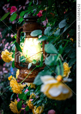 Lantern surrounded by flowers Lantern surrounded by flowers 115854252