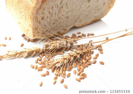 白色背景上的麵包和小麥耳朵 115855339