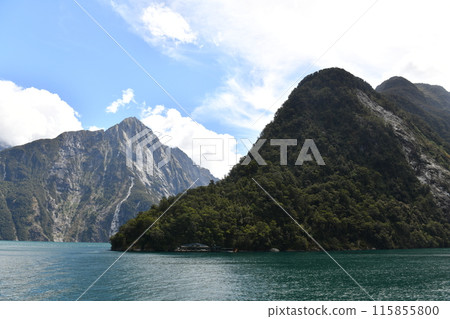 Scenery of Milford Sound 115855800