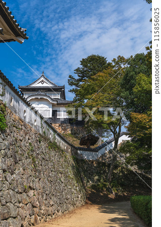 岡山備中松山城主圍風景 115856025