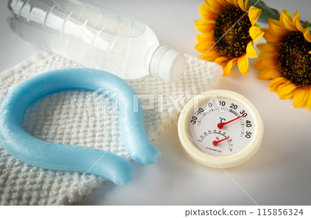 Cooling goods to prevent heatstroke with a neck cooler 115856324