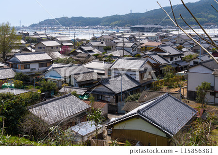 [Important Preservation District for Groups of Traditional Buildings] Doi Kakuchu, the streetscape seen from Aki Castle, Aki City, Kochi Prefecture 115856381