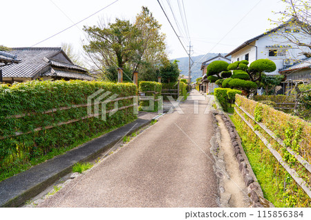 [重要傳統建築群保存地區] 高知縣安藝市土井閣土陽竹籬街景 1 115856384