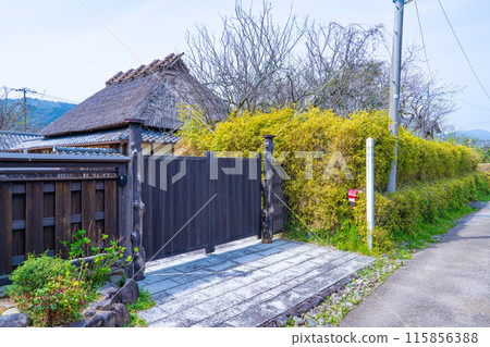 [重要傳統建築群保存地區] 高知縣安藝市土井閣土陽竹籬街景 2 115856388