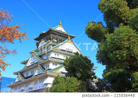 Scenery of Osaka Castle, Osaka City, Osaka Prefecture 115856448