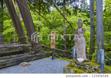 福井的Kazura Bridge 115856589