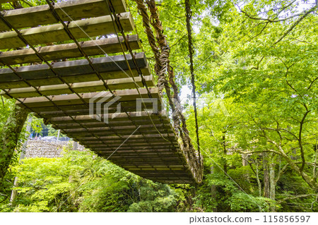 福井的Kazura Bridge 115856597