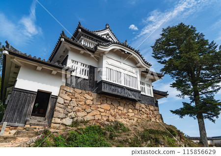 Okayama Bitchu Matsuyama Castle - Existing castle tower 115856629