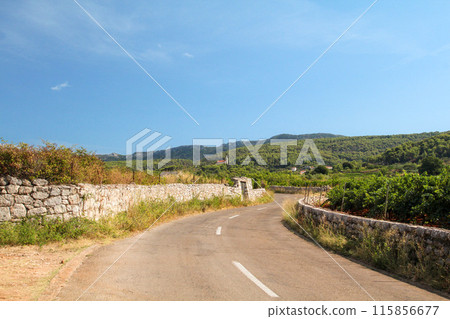 Famous historic agricultural Greek plain at Stari Grad on Hvar island 115856677