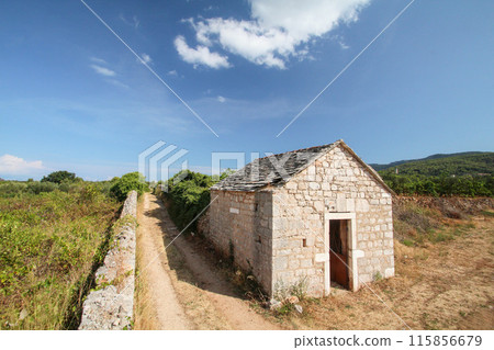 Famous historic agricultural Greek plain at Stari Grad on Hvar island Famous historic agricultural Greek plain at Stari Grad on Hvar island 115856679