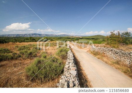 Famous historic agricultural Greek plain at Stari Grad on Hvar island Famous historic agricultural Greek plain at Stari Grad on Hvar island 115856680