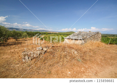 Famous historic agricultural Greek plain at Stari Grad on Hvar island Famous historic agricultural Greek plain at Stari Grad on Hvar island 115856681