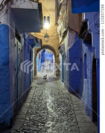 A cat sitting lonely on an alley in Chefchaouen at night A cat sitting lonely on an alley in Chefchaouen at night 115857198