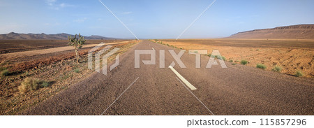 Panorama of an empty long straight road in south Morocco, surrounded by an arid landscape 115857296