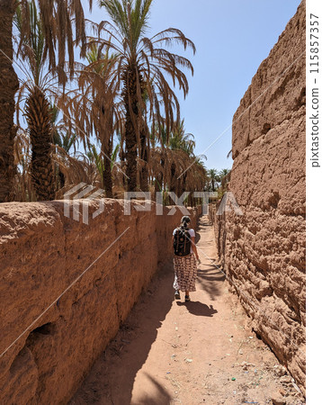 A hiker in a scenic agriculture landscape in the beautiful Draa valley, palm groves surrounding the hiking path 115857357