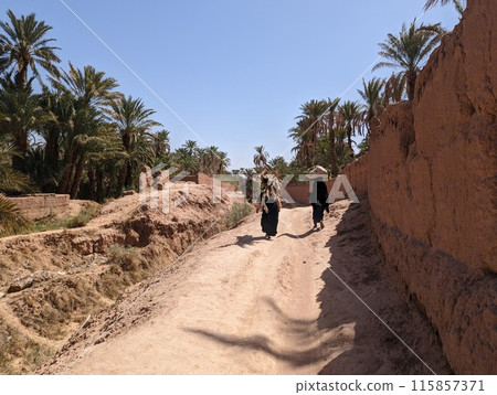 A hiker in a scenic agriculture landscape in the beautiful Draa valley, palm groves surrounding the hiking path A hiker in a scenic agriculture landscape in the beautiful Draa valley, palm groves surrounding the hiking path 115857371