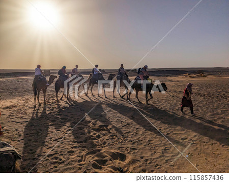 A caravan of dromedaries passing the Sahara desert in the evening A caravan of dromedaries passing the Sahara desert in the evening 115857436