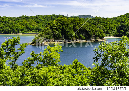 博多島 愛媛郡今治市船織瀨戶 115857735