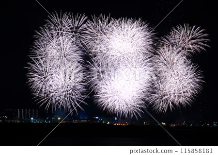 大阪泉州夏祭泉州夢花火大會(大阪府泉南市) 大阪泉州夏祭泉州夢花火大會(大阪府泉南市) 115858181