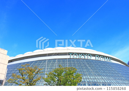 Tokyo Dome, Bunkyo Ward, Tokyo 115858268