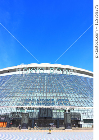 東京都文京區東京巨蛋的風景 115858275