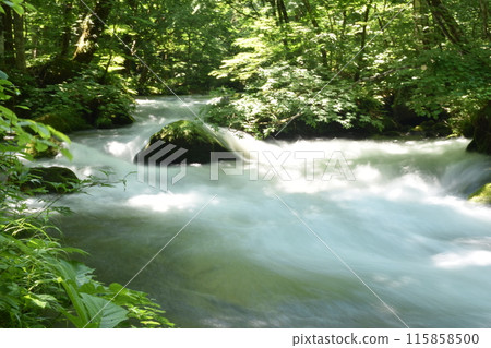 Oirase Stream, Lake Towada, Tohoku, Aomori, Towada, Stream, National Park, Towada-Hachimantai 115858500