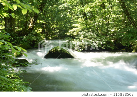 Oirase Stream, Lake Towada, Tohoku, Aomori, Towada, Stream, National Park, Towada-Hachimantai 115858502