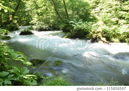 Oirase Stream, Lake Towada, Tohoku, Aomori, Towada, Stream, National Park, Towada-Hachimantai 115858507