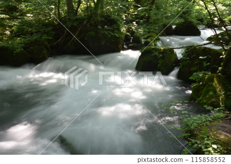 奧入瀨溪流, 十和田湖, 東北, 青森縣, 十和田溪流, 國立公園, 十和田八幡平 115858552