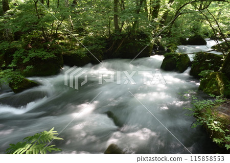 奧入瀨溪流, 十和田湖, 東北, 青森縣, 十和田溪流, 國立公園, 十和田八幡平 奧入瀨溪流, 十和田湖, 東北, 青森縣, 十和田溪流, 國立公園, 十和田八幡平 115858553
