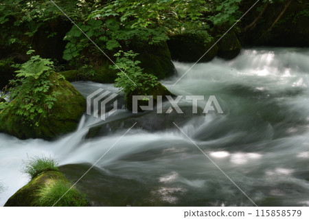 Oirase Stream, Lake Towada, Tohoku, Aomori, Towada, Stream, National Park, Towada-Hachimantai Oirase Stream, Lake Towada, Tohoku, Aomori, Towada, Stream, National Park, Towada-Hachimantai 115858579