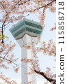 Goryokaku Tower framed by cherry blossoms 115858718