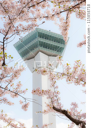 Goryokaku Tower framed by cherry blossoms Goryokaku Tower framed by cherry blossoms 115858718